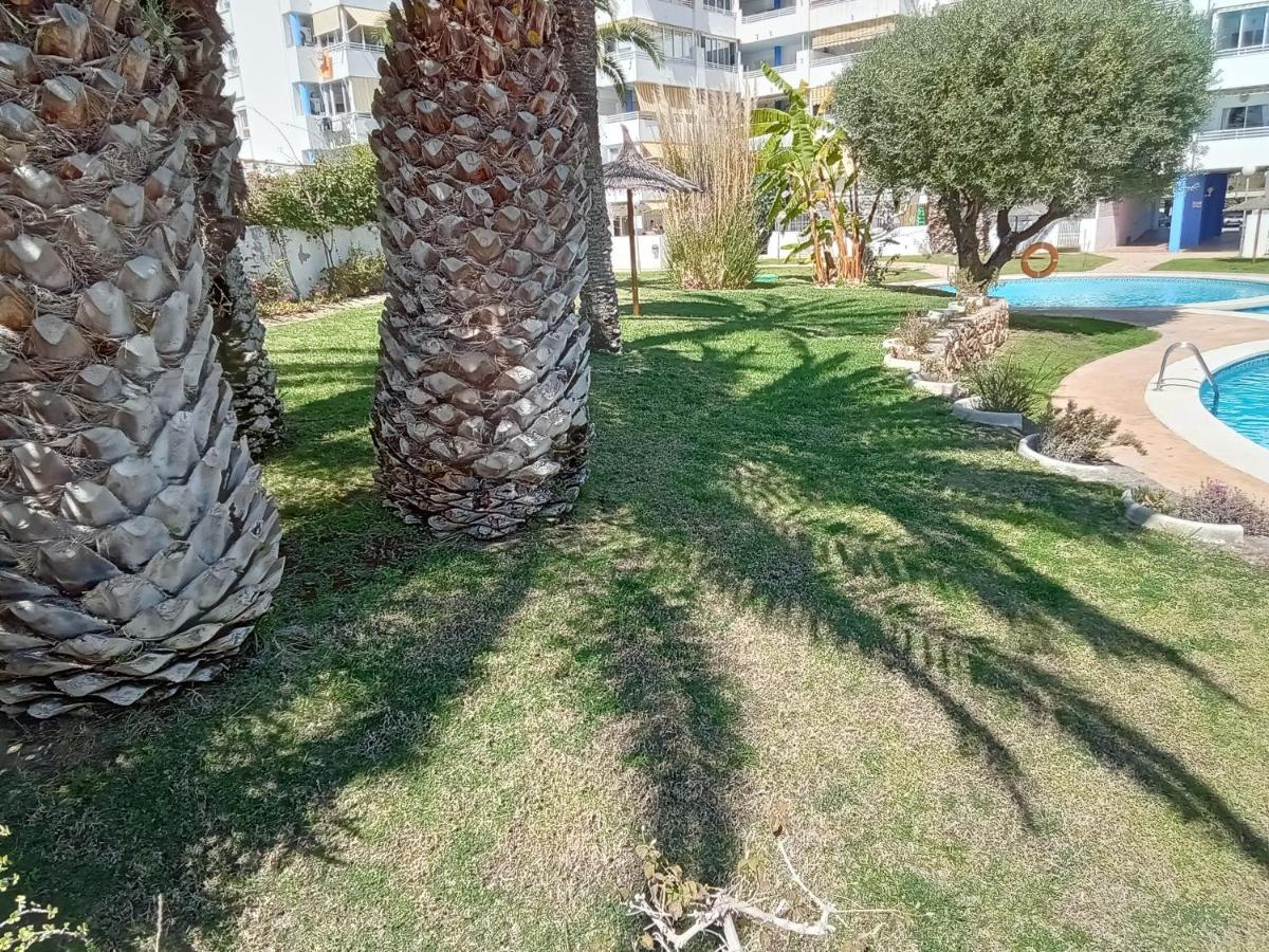 Apartamento La Nina, La Playa Paraiso A 100 Mts. Villajoyosa Buitenkant foto
